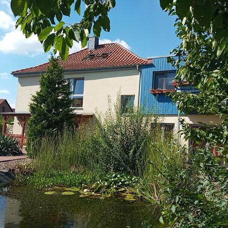 Ferienwohnung Toelle Bad Rehburg Exterior photo